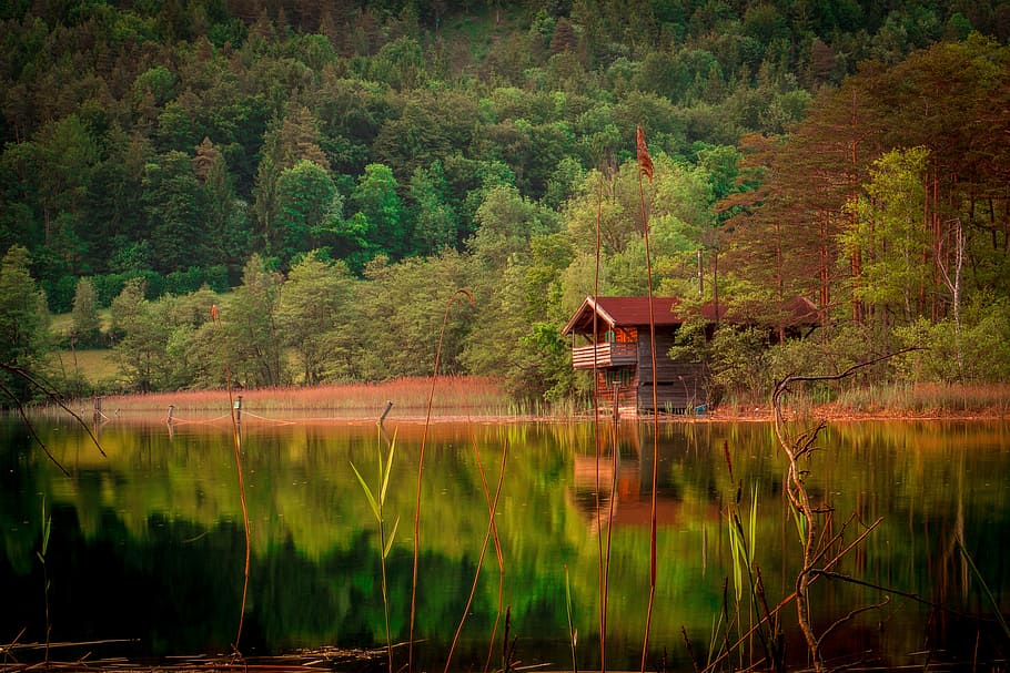 grey, cabin, trees, calm, body, water, forest, lake, mountains, landscape