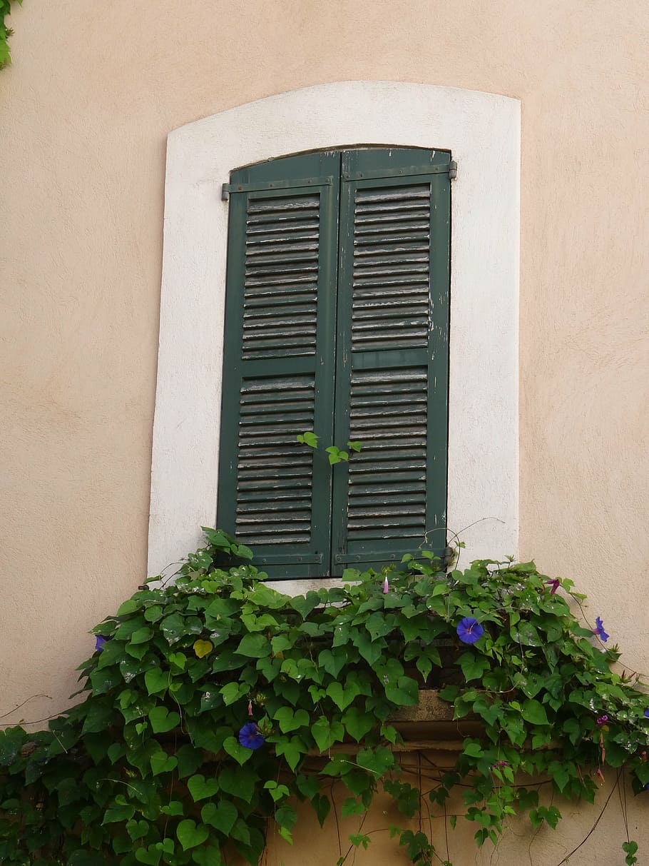 window, shutters, architecture, building, exterior, frame, house window, wood, window frame, europe