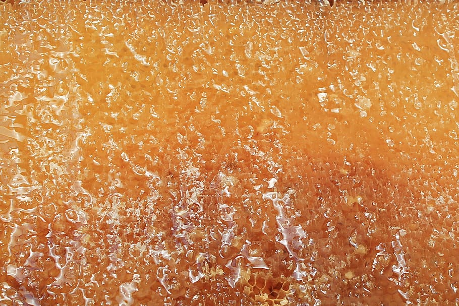 honeycomb, honey, delicious, sweet, beehive, backgrounds, full frame, textured, orange color, close-up
