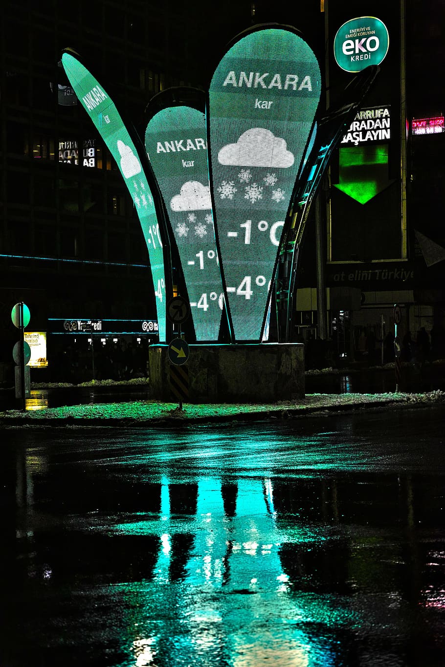 ankara, kalkun, hijau, iklan, papan klip, cahaya, modal, refleksi, basah, hujan