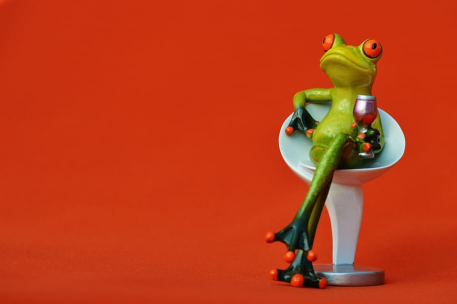 frog, chair, cozy, drink, wine, soaked, cute, sweet, funny, relaxation