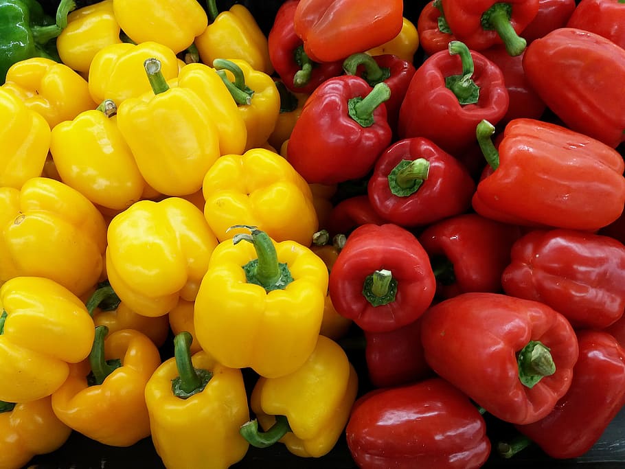 colorful peppers, bell peppers, yellow, red, fresh, vegetable, healthy, organic, pepper, bell pepper