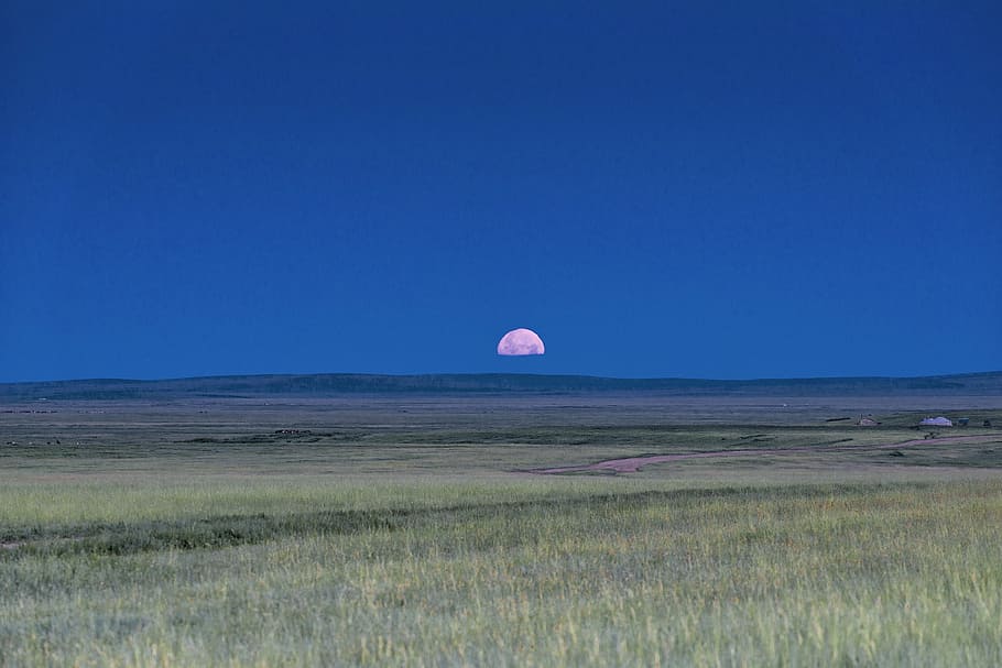 landscape, mongolia, plains, horizon, for march, meadow, pao, nature, sky, grass