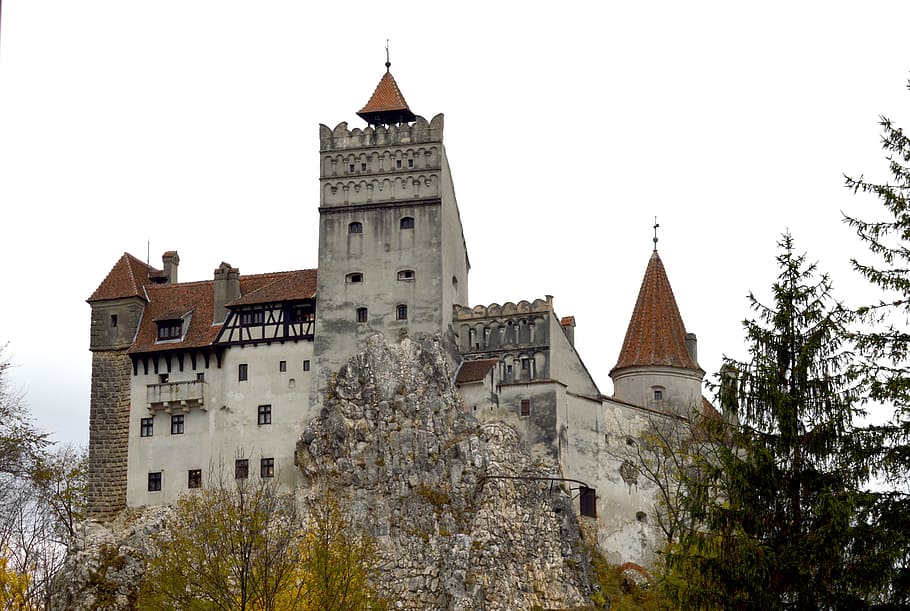 gray, rock, Fortress, Bran, Romania, Castle, Autumn, palace, tower, landscape