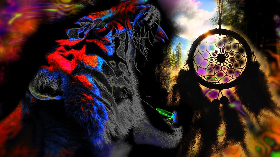 color, nature, colorful, spiritual, tiger, roar, multi colored, close-up, domestic animals, animal