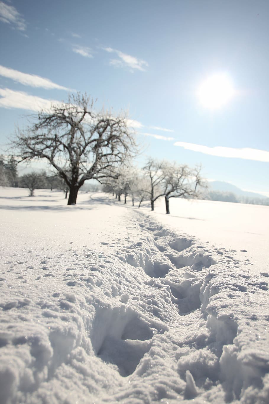 snow, traces, winter, snow tramp, cold temperature, sky, tranquility, beauty in nature, white color, tree