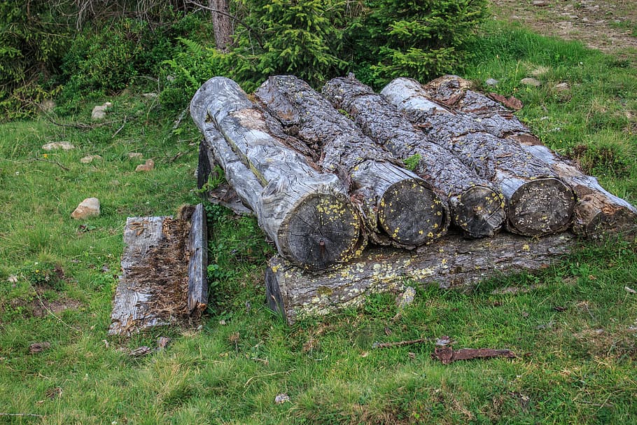 wood, log, nature, tree trunks, strains, tribe, grain, structure, landscape, holzstapel