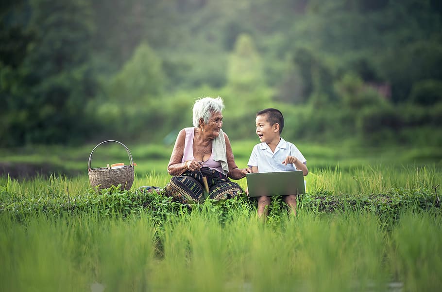 boy, laptop, sitting, white, haired woman, green, field, grandmother, kids, dear