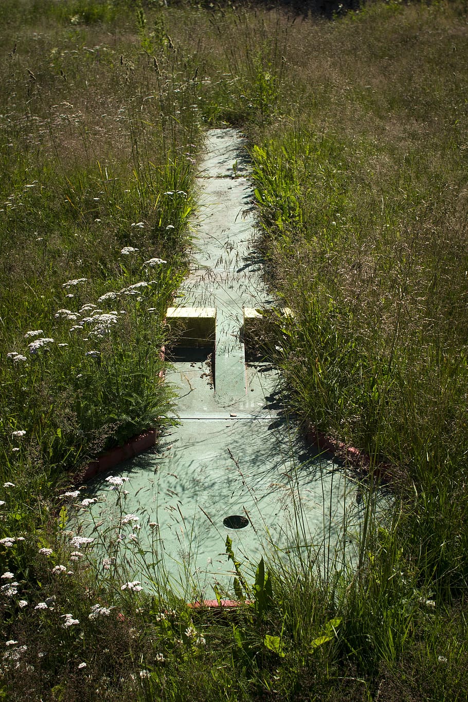 Miniature Golf, Abandoned, Grass, Game, water, nature, reflection, lake, plant, growth