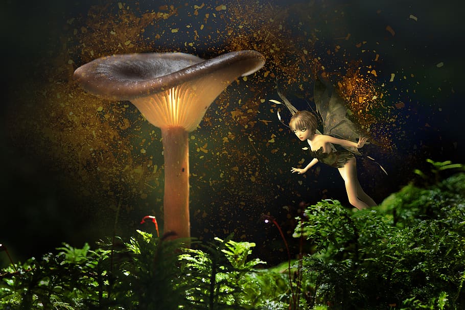 luminous mushroom, fee, fantasy, elf, fairy tales, magic, mythical creatures, girl, mysterious, mysticism