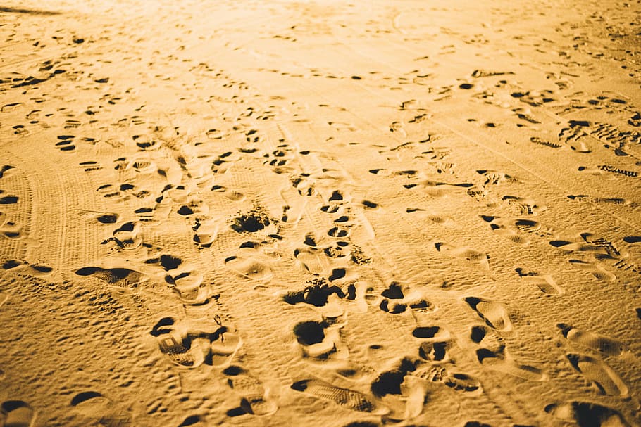 marrom, areia, pegadas, dia, pé, impressões, branco, praia, passos, costa