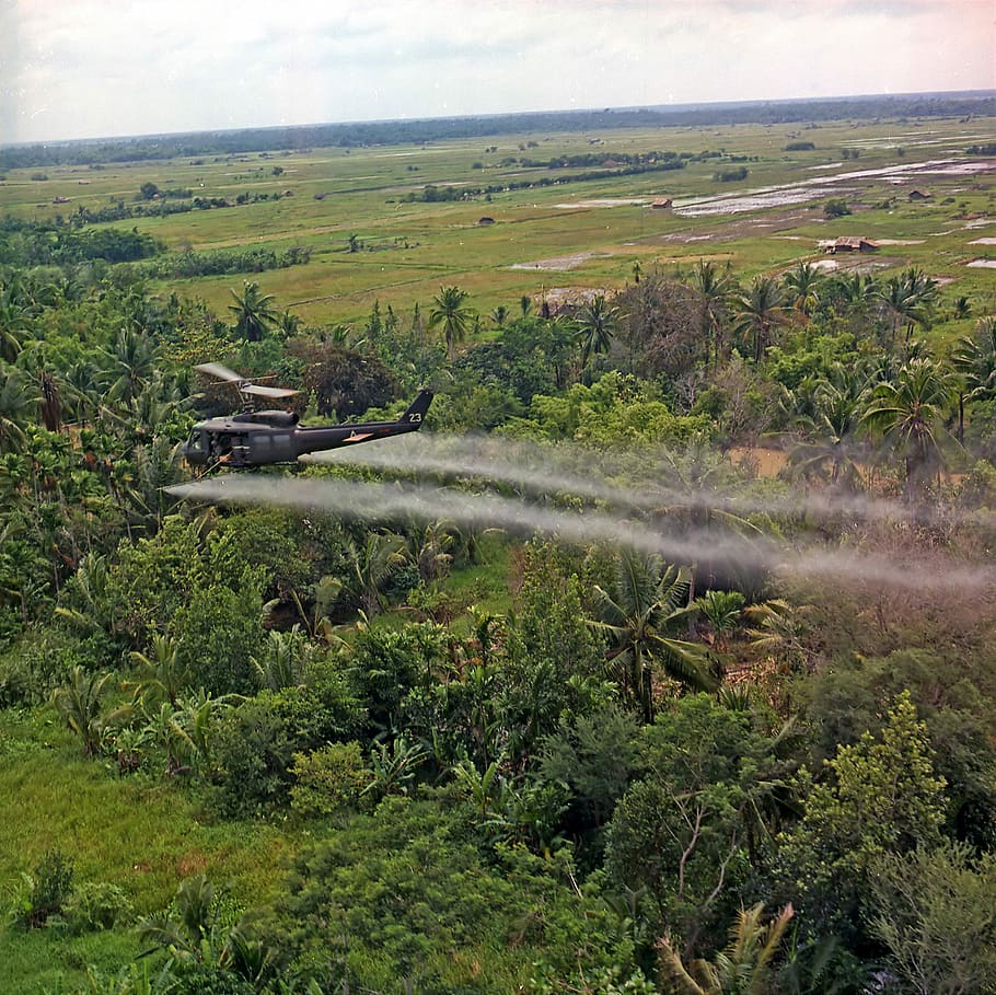 nosotros, helicóptero rociando defoliantes químicos, helicóptero estadounidense, químico, defoliantes, Delta del Mekong, Guerra de Vietnam, rociamiento aéreo, defoliantes químicos, fotos