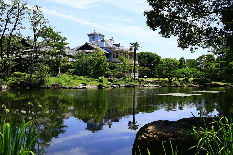 Mie Prefecture, Triple, Kuwana, Japan, garden, japan garden, former moroto seiroku house, east moroto house, rokuhanasono, tree