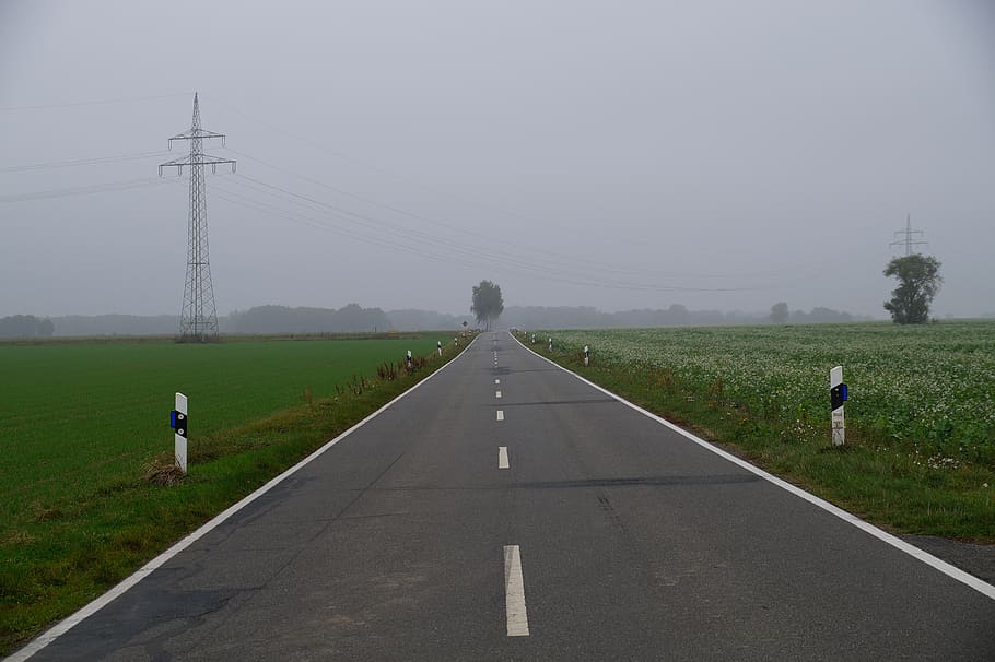 road, country road, asphalt, side street, road post, drive, street boundary pillar, landscape, infinite, fog