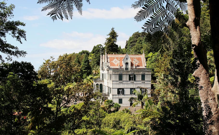 Madeira, Funchal, Monte, Istana Monte, Jardim, Tropis, Kebun Raya, pohon, menanam, Arsitektur