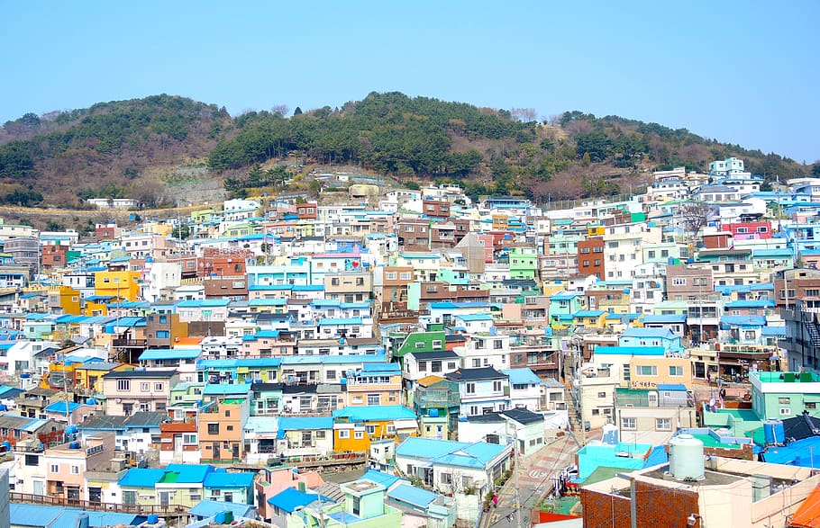 busan, desa budaya gamcheon, nasional korea, korea selatan, perjalanan, rumah, konstruksi, arsitektur, eksterior bangunan, struktur bangunan