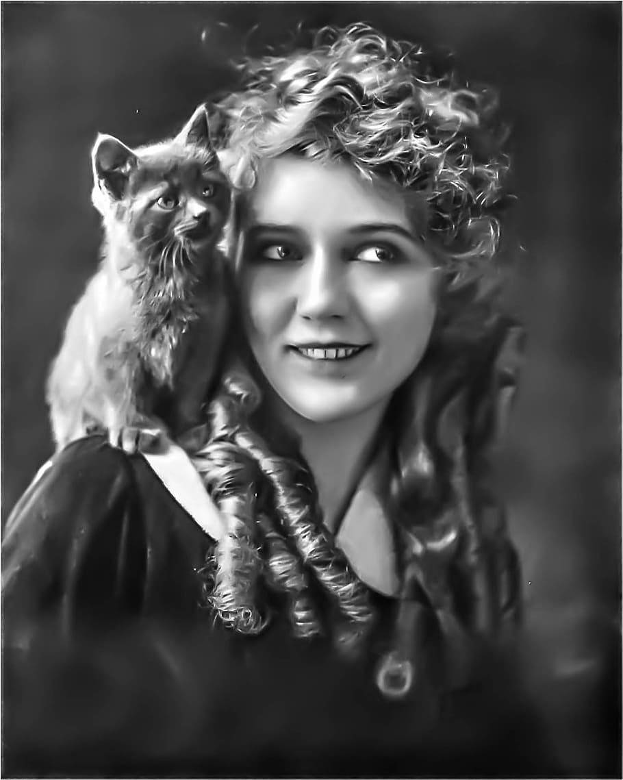 mary pickford - female, portrait, silent screen, hollywood actress, one animal, mammal, one person, domestic animals, pets, domestic