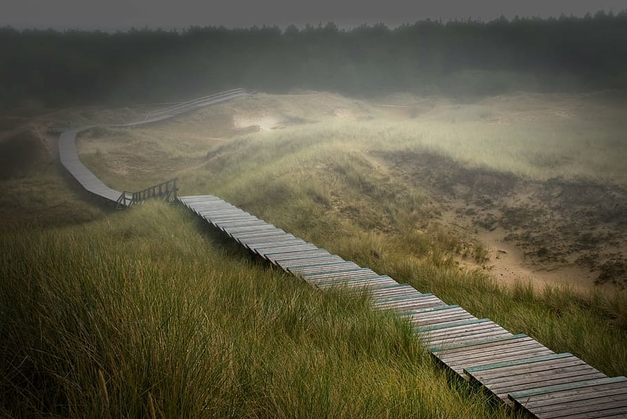 high, angle photo, brown, wooden, pathway, mountain range, amrum, dunes, island, nordfriesland