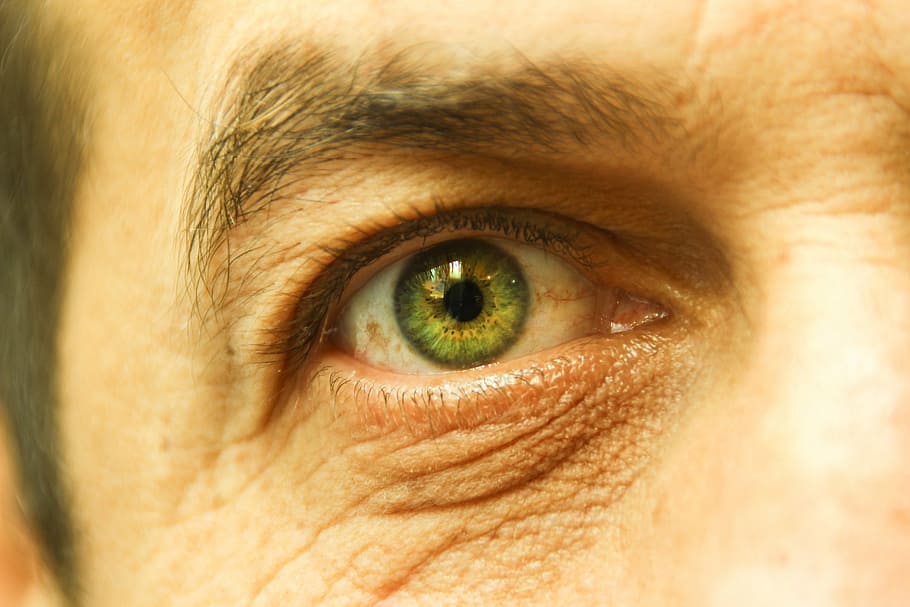 œil, mata, iris, tampilan, visual, pandangan, mata hijau, warna, gambar, close-up