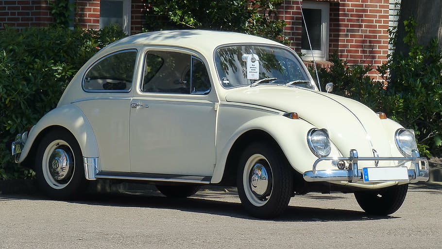 vw, beetle, classic, volkswagen, old, volkswagen vw, vw beetle, oldtimer, historically, automotive