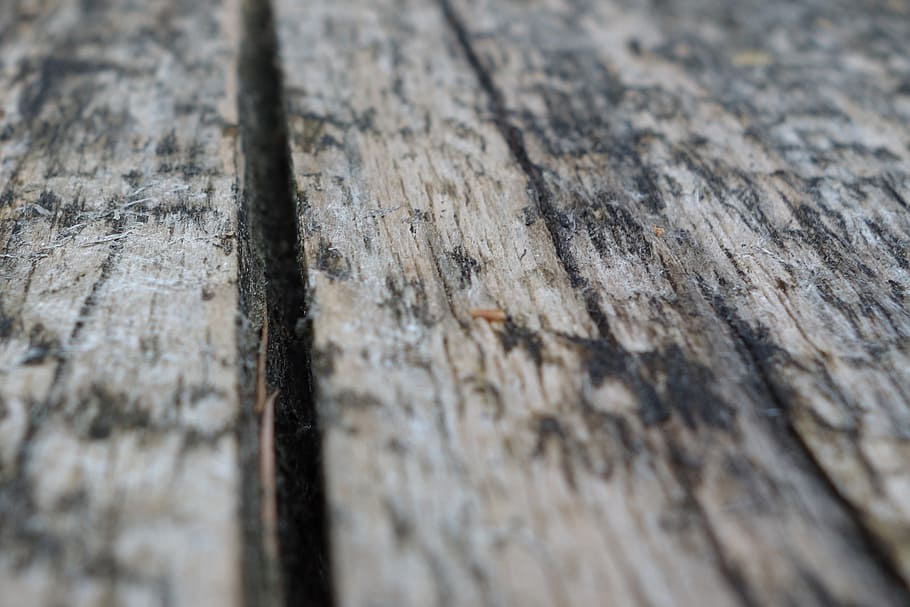 board, wood, grain, old, texture, panels, bohlen, background, structure, boards bridle