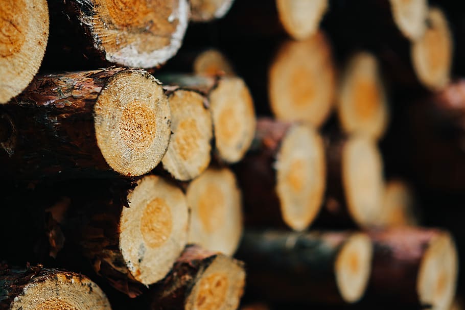 pared de troncos de madera, madera, troncos, pared, otoño, leña, madera - Material, registro, industria maderera, árbol