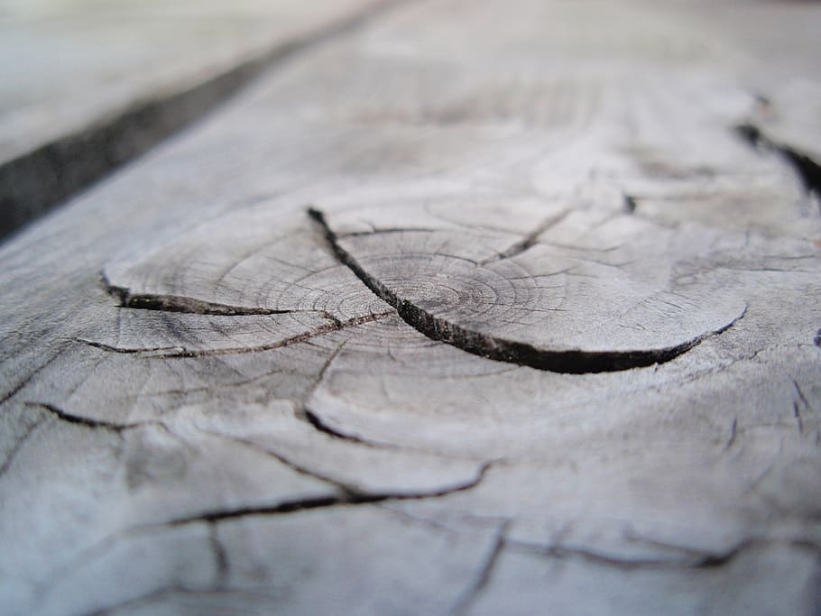 Картинка трещины. Царапины на дереве. Текстура дерева с трещинами. Кольца дерева текстура. Дерево на песке с трещинами.
