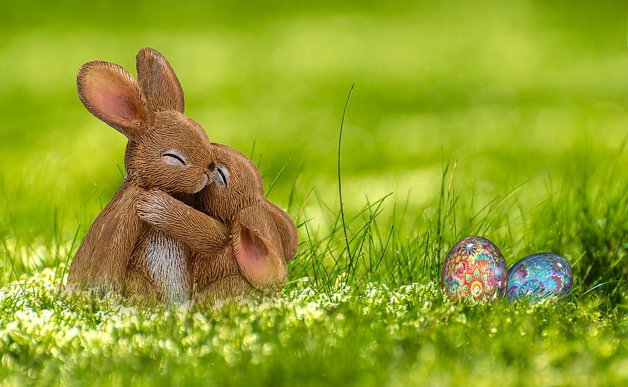 dois, marrom, coelhos, verde, grama, ovos de páscoa, dia, coelhinho da páscoa, lebre, primavera