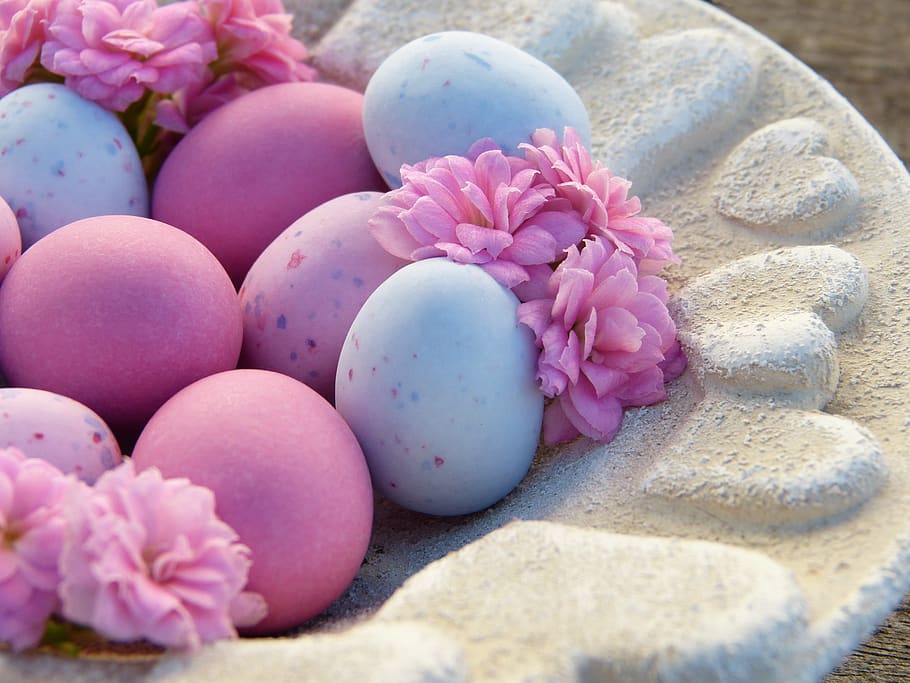 easter eggs, pink, light blue, shell, heart, macro, egg, easter, easter theme, greeting card