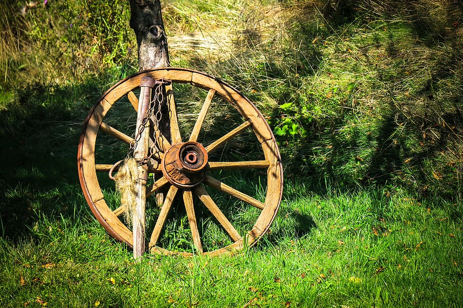 roda de carroça, roda, roda de madeira, raios, fazenda, velho, nostalgia, antiguidade, madeira, planta