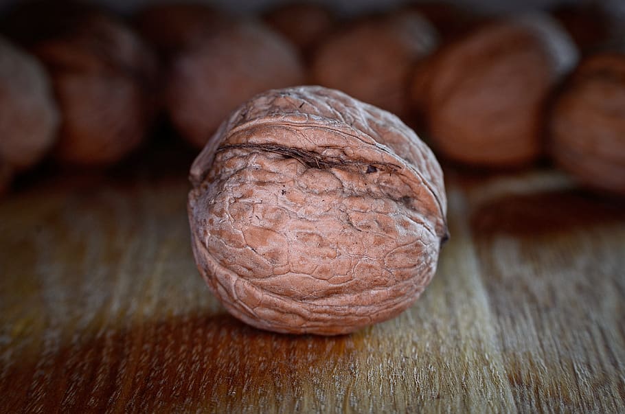 walnut, healthy, delicious, food, in the fall, nutrition, snacks, food and drink, freshness, healthy eating