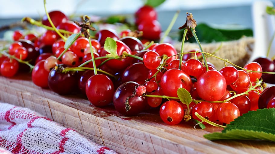 closeup, red, cherries, sour cherries, currants, fruit, fruits, jam, summer, ripe