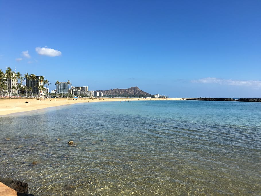 beach with trees, diamond head, hawaii, ahi, waikiki, hawaiian, honolulu, ala moana park, hawaii beach, oahu