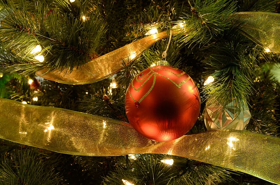 red, bauble, hanged, Holiday Tree, Christmas Tree, christmas, xmas, festive, season, holiday