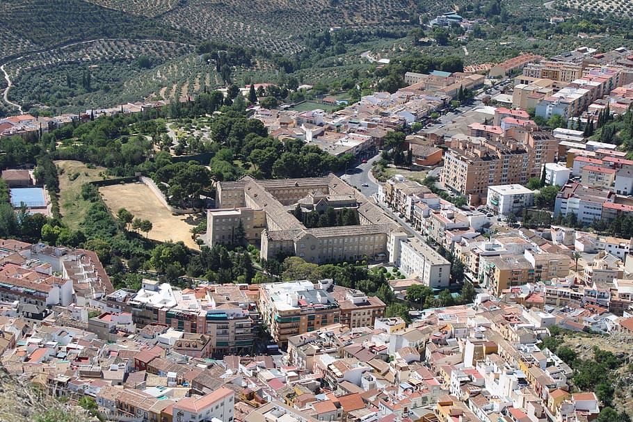 jaen, andaluzia, espanha, cidade, jaén, seminário, oliveiras, paisagem, árvores, monumento