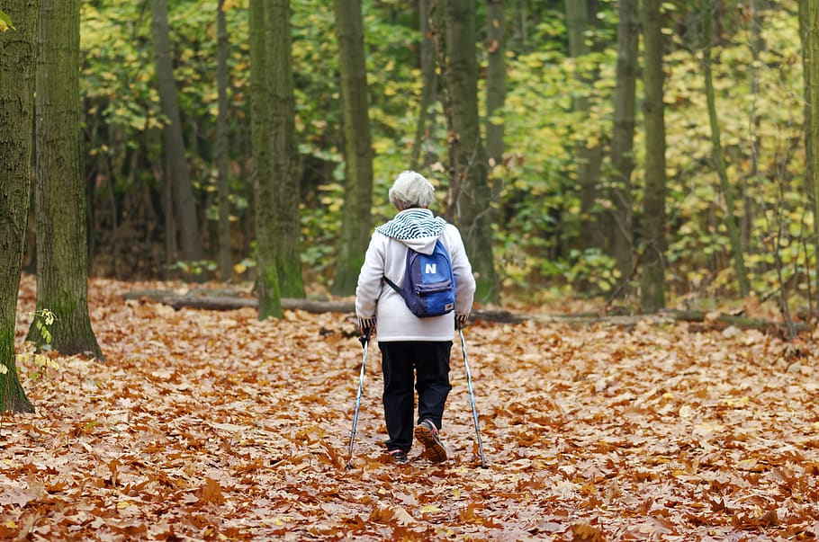 landscape, woman, old, person, cane, backpack, going, forest, autumn, trees