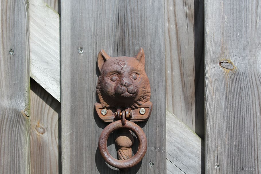 ketukan, gerbang, kucing, tua, kayu, dekorasi, gagang pintu, rumah, ornamen, bahan kayu
