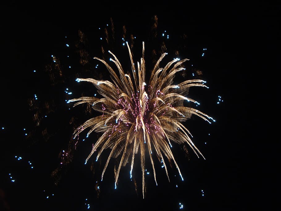 fireworks, explosion, shine, firework, night, illuminated, celebration, firework display, event, motion