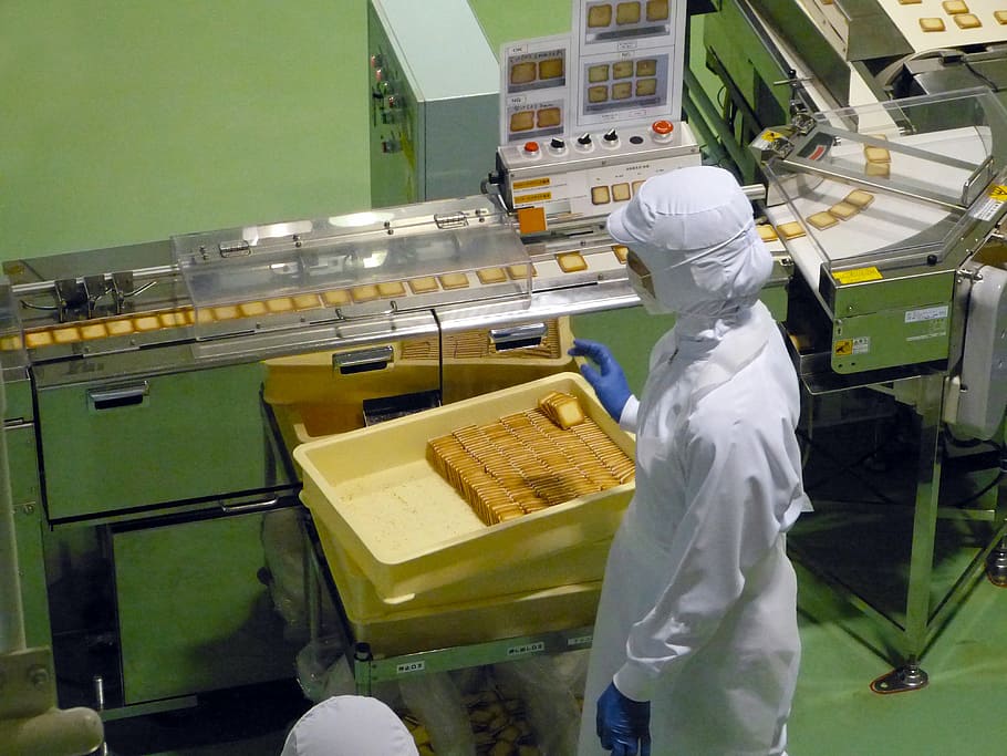 pessoa, de pé, ao lado, máquina de processamento, Japão, Sapporo, fábrica de chocolate, etiqueta, embalagem, biscoito