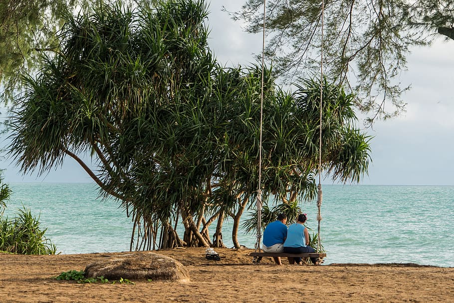 dos, personas, sentado, grande, columpio de árbol, phuket, tailandia, playa, persona, gente