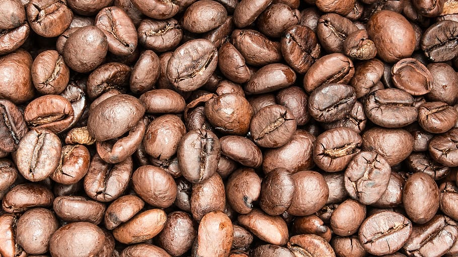 tandan, biji kopi, kopi, kafe, aroma, kacang-kacangan, memanggang, espresso, kopi biji utuh, kopi hijau