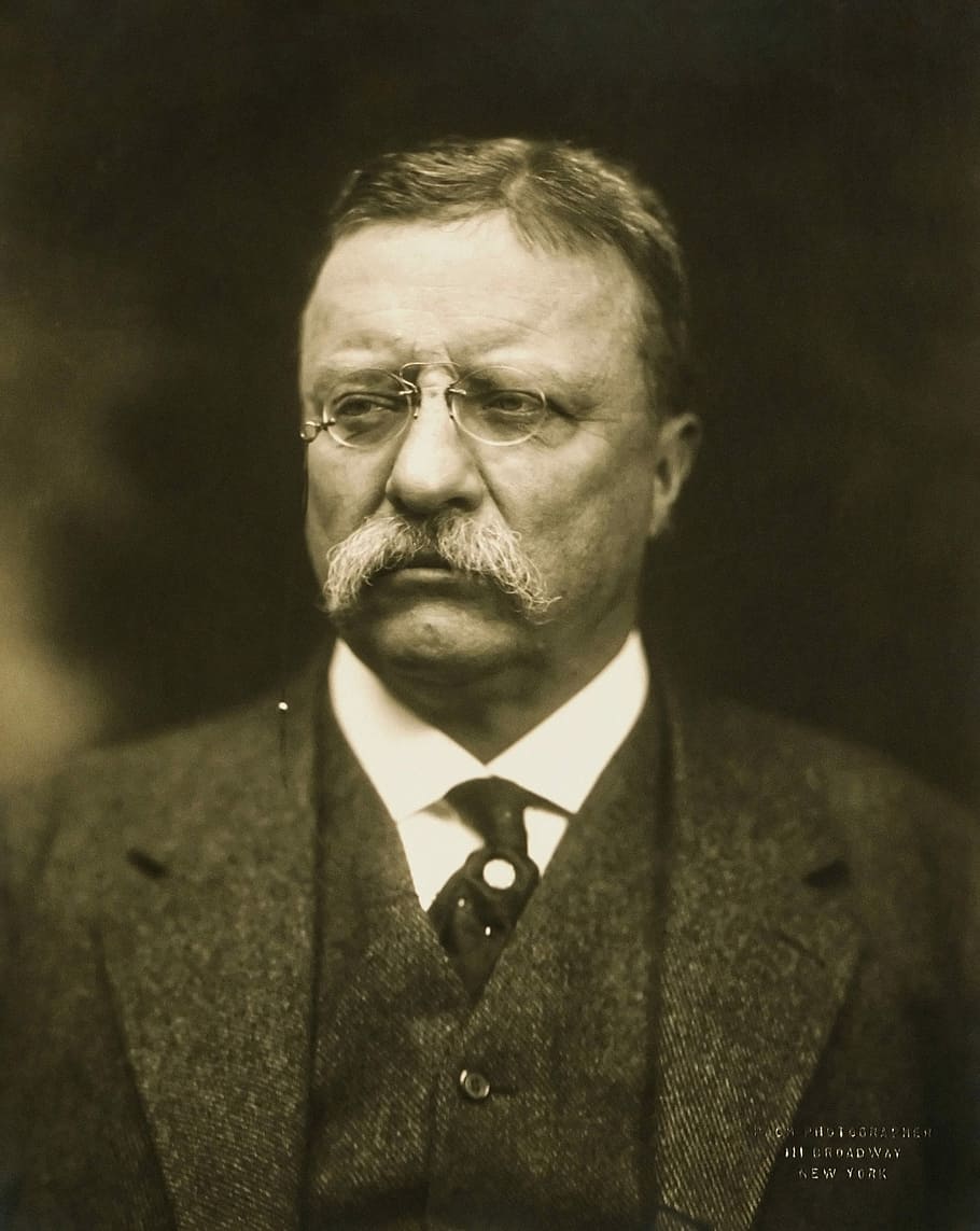 Retrato de Theodore Roosevelt, Theodore Roosevelt, Retrato, historia, presidente, dominio público, personas, hombres, blanco y negro, una persona