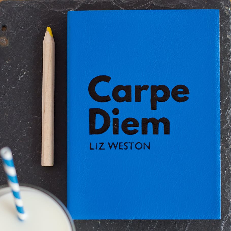carpe, diem, liz weston case, pen, still, items, things, book, notebook, journal