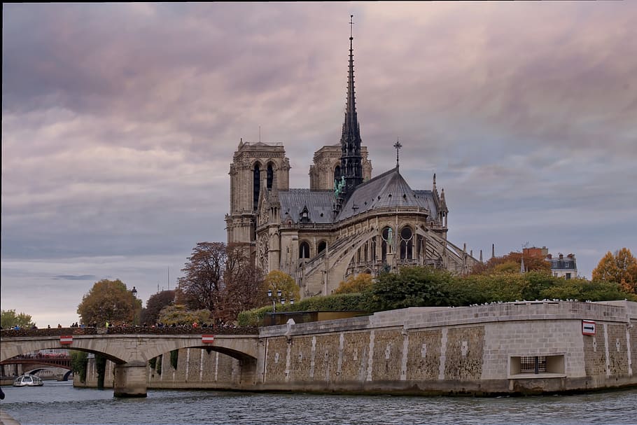 París, Notre Dame, catedral, gótico, otoño, famoso, Francia, color, Sena, viajes