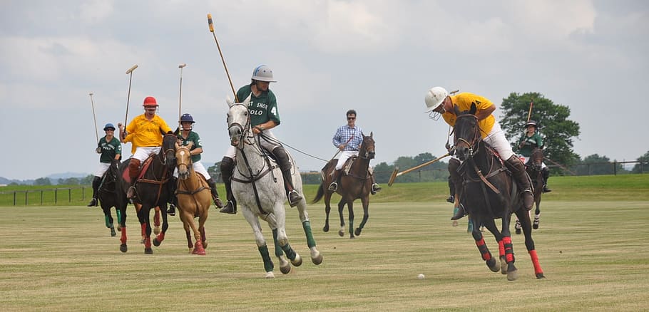 Polo, Horses, Riding, Sport, Club, sport, club, player, equine, competition, equestrian