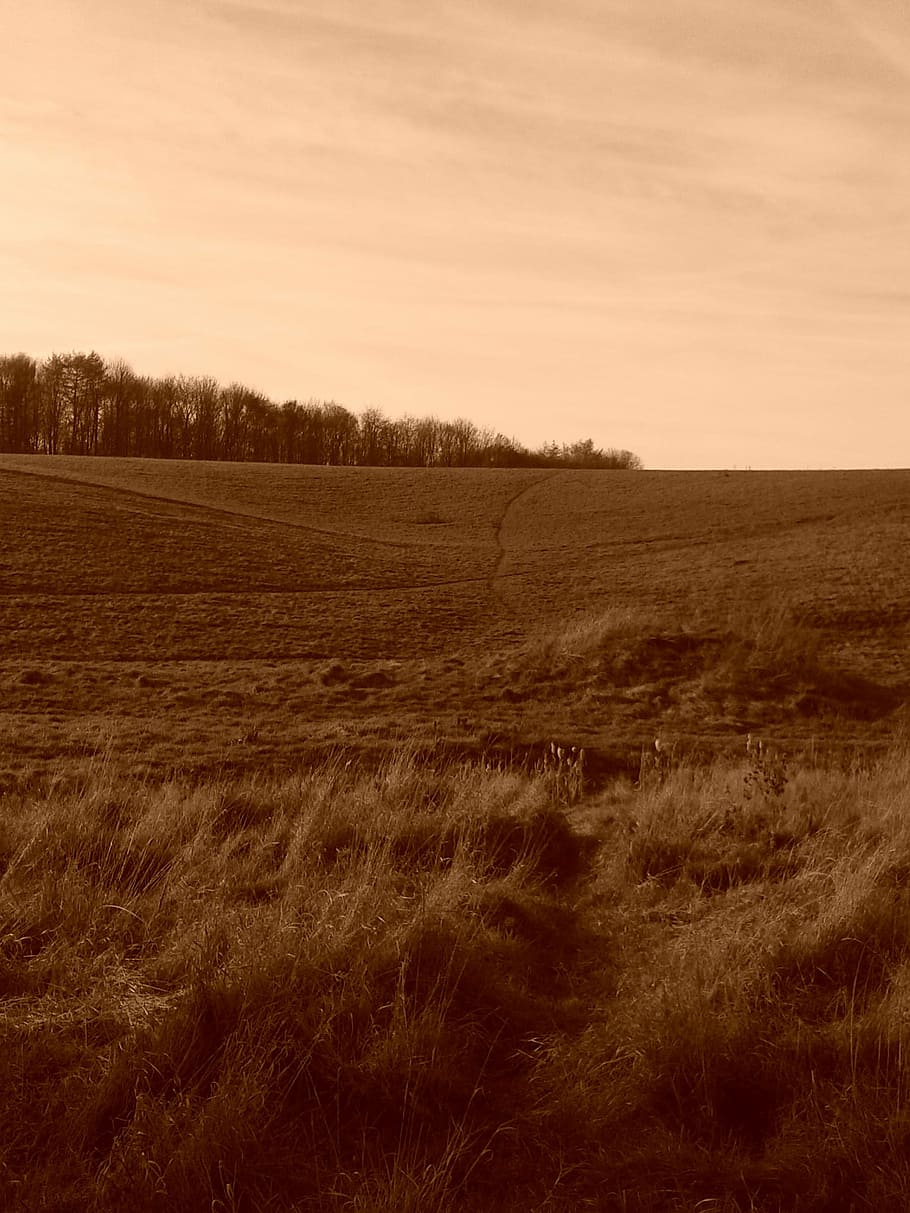 nature, hill, landscape, meadow, sepia, land, field, tranquility, environment, sky
