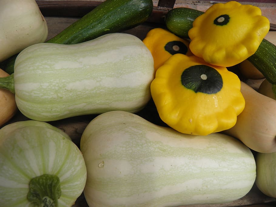squash, courgettes, patty pan, butternut, vegetables, fresh, summer, harvest, organic, zucchini
