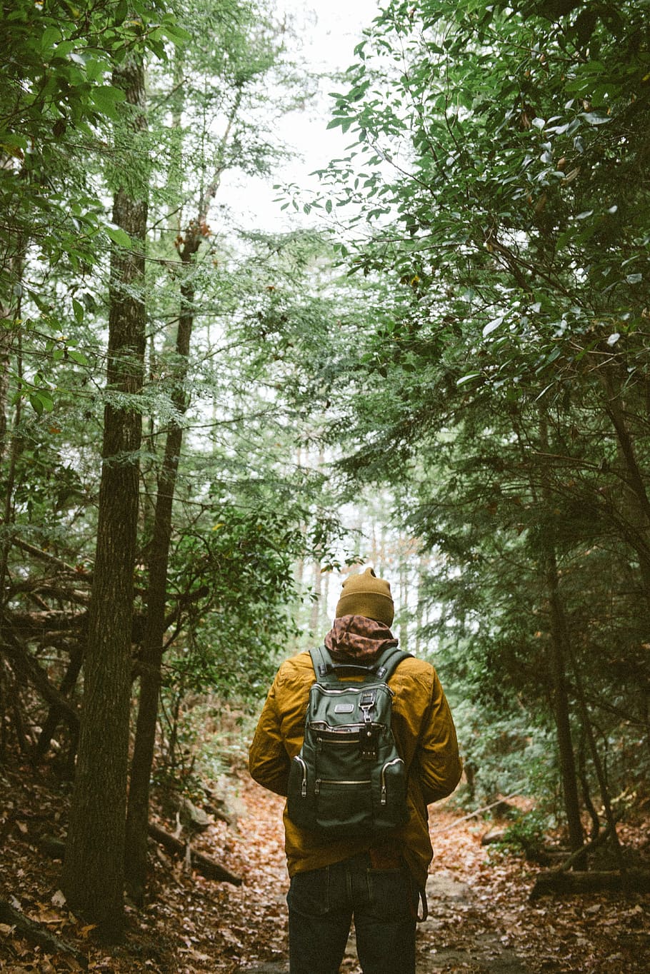 man, walking, pathway, orange, jacket, woods, backpack, people, hiking, beanie