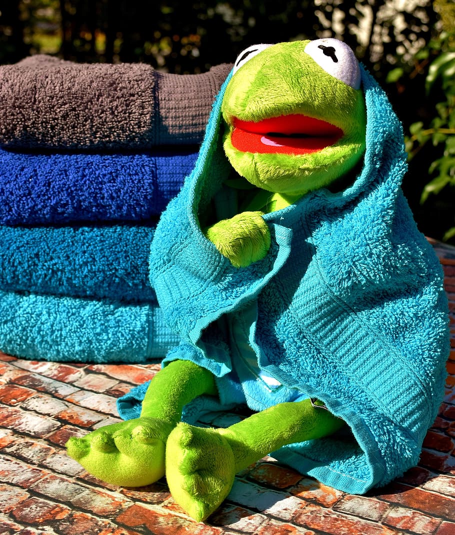 kermit, frog, plush, toy, covered, blue, body towel, towels, turquoise, grey