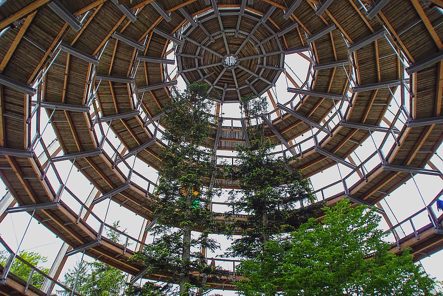Treetop, Path, Building, Trees, Dome, treetop path, architecture, nature, bavarian forest, built Structure